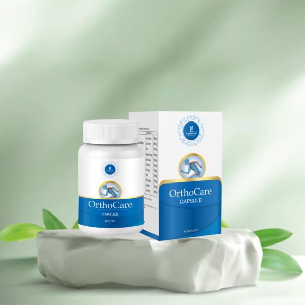 Labhyam OrthoCare Capsule – 60 Capsules | Ayurvedic Joint & Muscle Support
